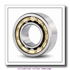 1.575 Inch | 40 Millimeter x 3.543 Inch | 90 Millimeter x 0.906 Inch | 23 Millimeter  CONSOLIDATED BEARING N-308  Cylindrical Roller Bearings