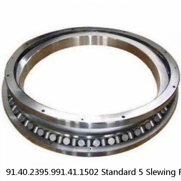 91.40.2395.991.41.1502 Standard 5 Slewing Ring Bearings