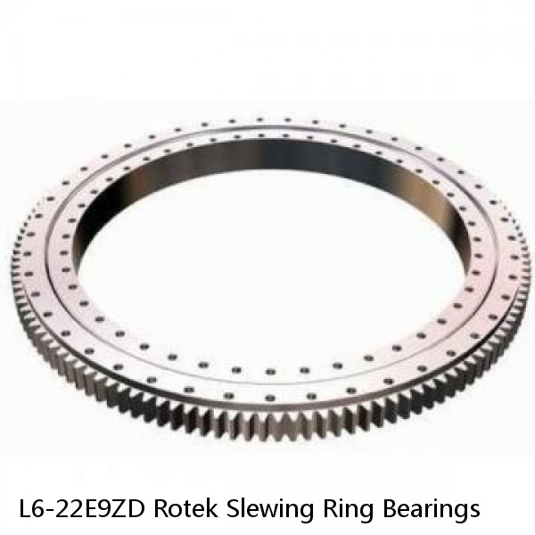 L6-22E9ZD Rotek Slewing Ring Bearings