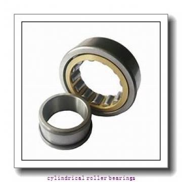 1 Inch | 25.4 Millimeter x 2.25 Inch | 57.15 Millimeter x 0.625 Inch | 15.875 Millimeter  CONSOLIDATED BEARING RLS-10  Cylindrical Roller Bearings
