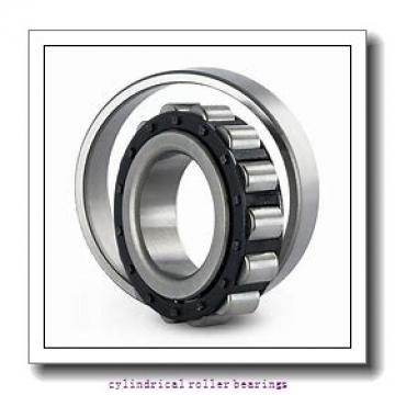 4.25 Inch | 107.95 Millimeter x 7.5 Inch | 190.5 Millimeter x 1.25 Inch | 31.75 Millimeter  CONSOLIDATED BEARING RLS-21 1/2  Cylindrical Roller Bearings