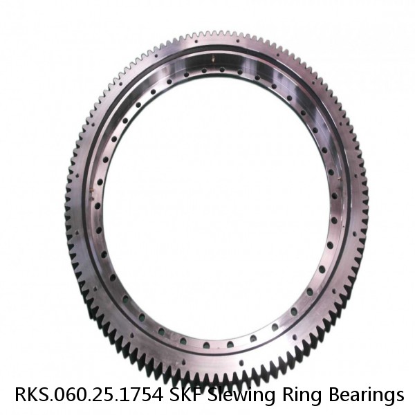 RKS.060.25.1754 SKF Slewing Ring Bearings