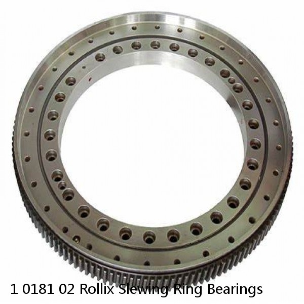 1 0181 02 Rollix Slewing Ring Bearings