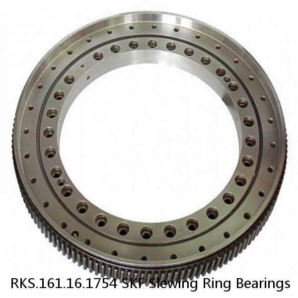 RKS.161.16.1754 SKF Slewing Ring Bearings