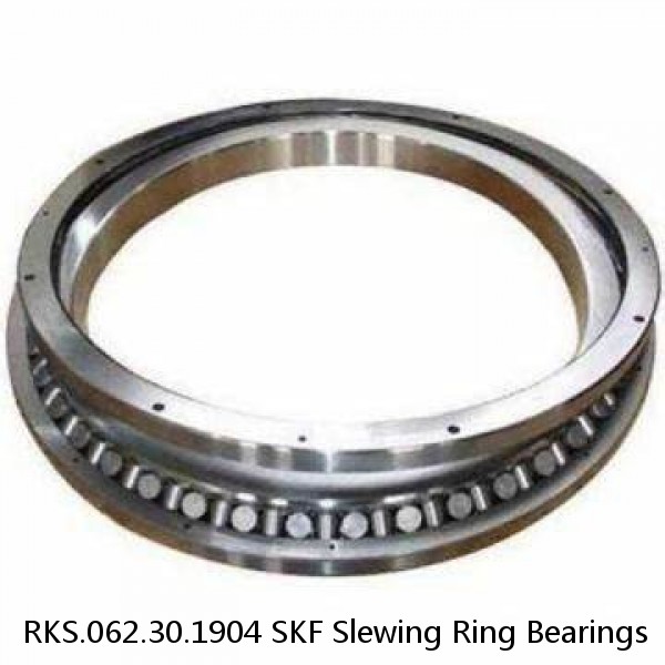 RKS.062.30.1904 SKF Slewing Ring Bearings