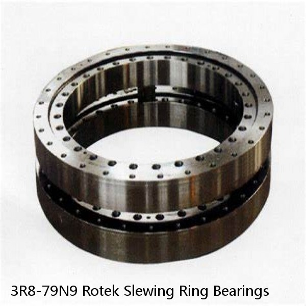3R8-79N9 Rotek Slewing Ring Bearings #1 small image