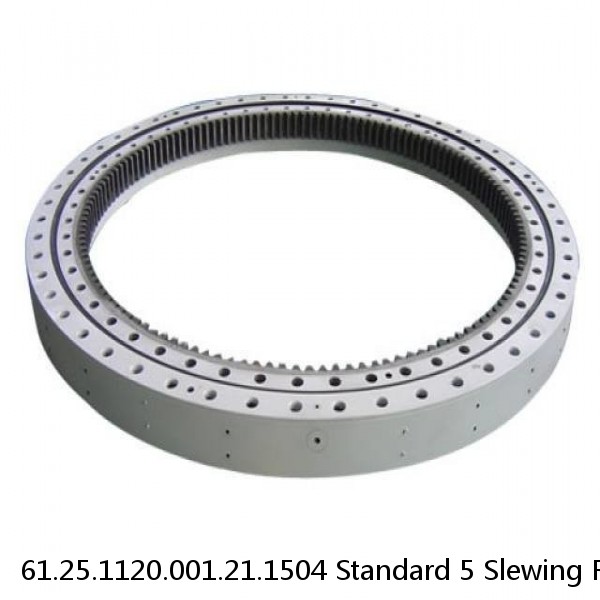 61.25.1120.001.21.1504 Standard 5 Slewing Ring Bearings