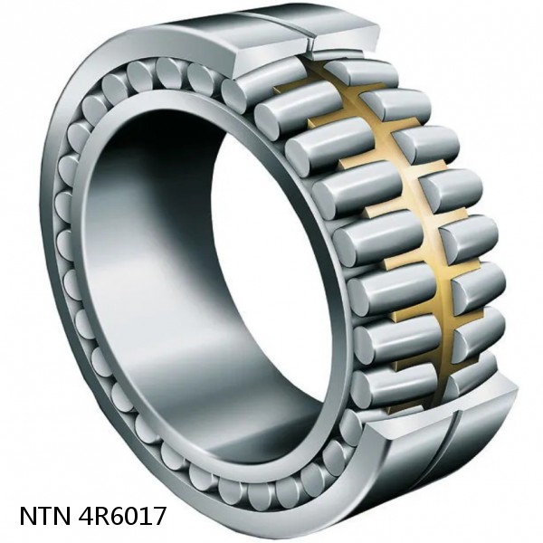 4R6017 NTN Cylindrical Roller Bearing #1 small image