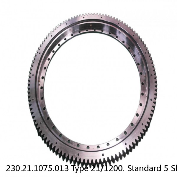 230.21.1075.013 Type 21/1200. Standard 5 Slewing Ring Bearings #1 small image