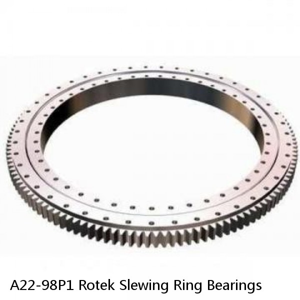 A22-98P1 Rotek Slewing Ring Bearings #1 small image