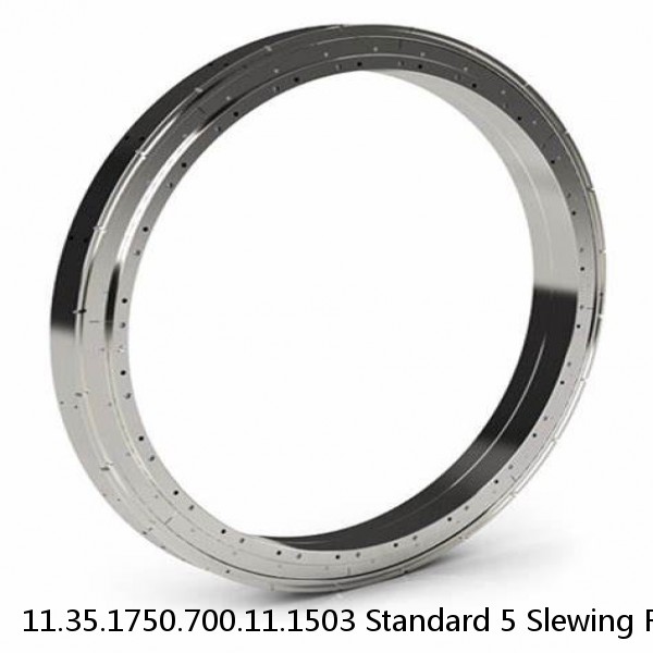 11.35.1750.700.11.1503 Standard 5 Slewing Ring Bearings #1 small image