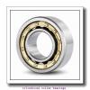 0.984 Inch | 25 Millimeter x 2.047 Inch | 52 Millimeter x 0.591 Inch | 15 Millimeter  CONSOLIDATED BEARING NU-205E C/4  Cylindrical Roller Bearings