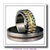 1.575 Inch | 40 Millimeter x 3.543 Inch | 90 Millimeter x 0.906 Inch | 23 Millimeter  CONSOLIDATED BEARING N-308E M  Cylindrical Roller Bearings #3 small image