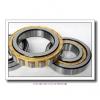 0.669 Inch | 17 Millimeter x 1.575 Inch | 40 Millimeter x 0.472 Inch | 12 Millimeter  CONSOLIDATED BEARING NU-203E C/3  Cylindrical Roller Bearings