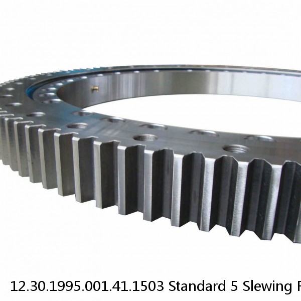 12.30.1995.001.41.1503 Standard 5 Slewing Ring Bearings #1 image