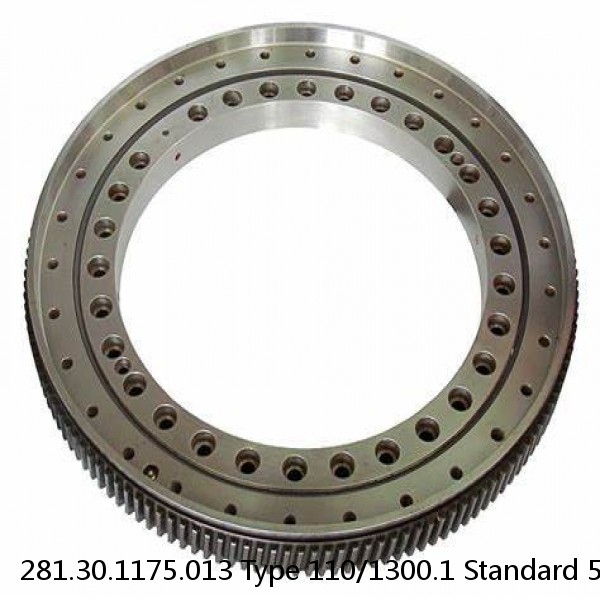 281.30.1175.013 Type 110/1300.1 Standard 5 Slewing Ring Bearings #1 image