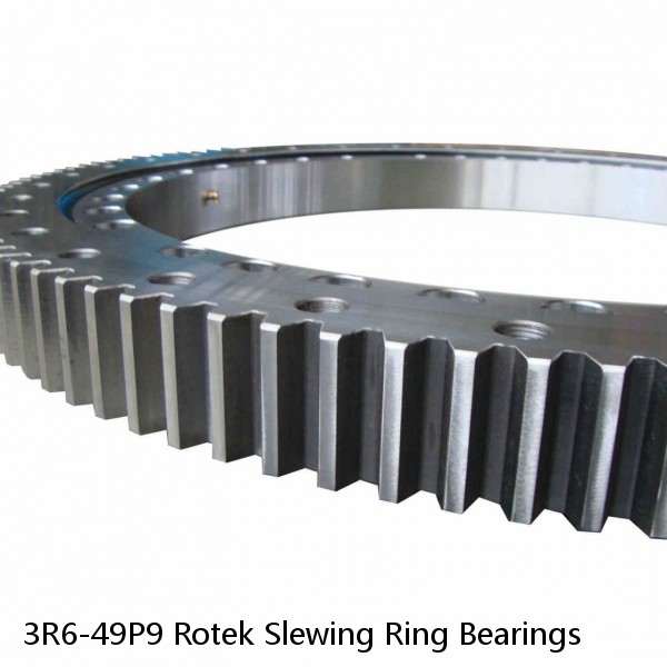 3R6-49P9 Rotek Slewing Ring Bearings #1 image