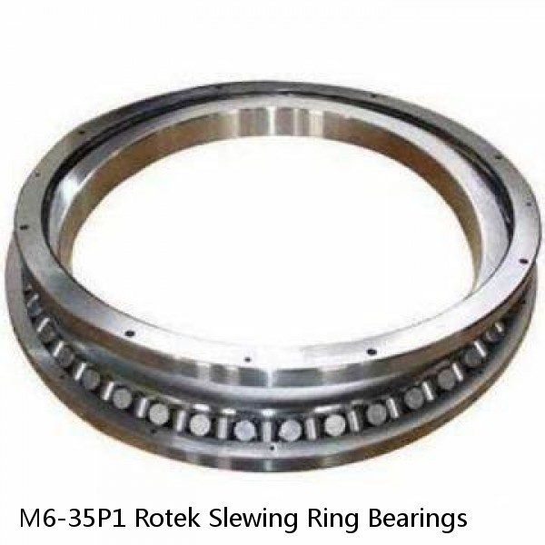M6-35P1 Rotek Slewing Ring Bearings #1 image