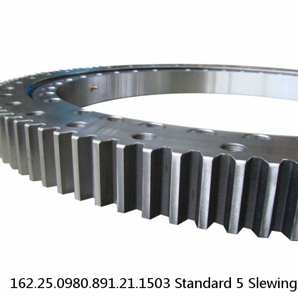 162.25.0980.891.21.1503 Standard 5 Slewing Ring Bearings #1 image