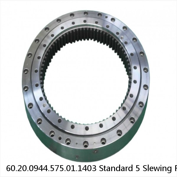 60.20.0944.575.01.1403 Standard 5 Slewing Ring Bearings #1 image