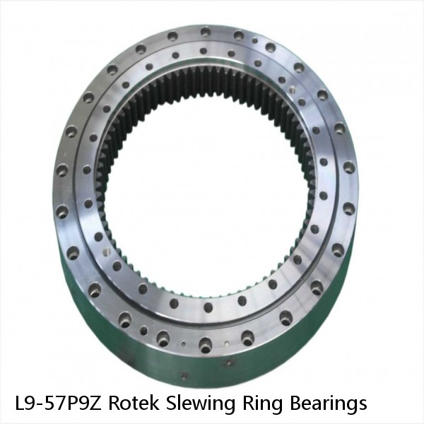 L9-57P9Z Rotek Slewing Ring Bearings #1 image