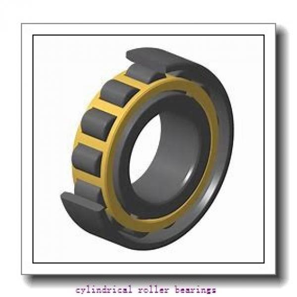 0.669 Inch | 17 Millimeter x 1.575 Inch | 40 Millimeter x 0.472 Inch | 12 Millimeter  CONSOLIDATED BEARING NU-203E  Cylindrical Roller Bearings #1 image